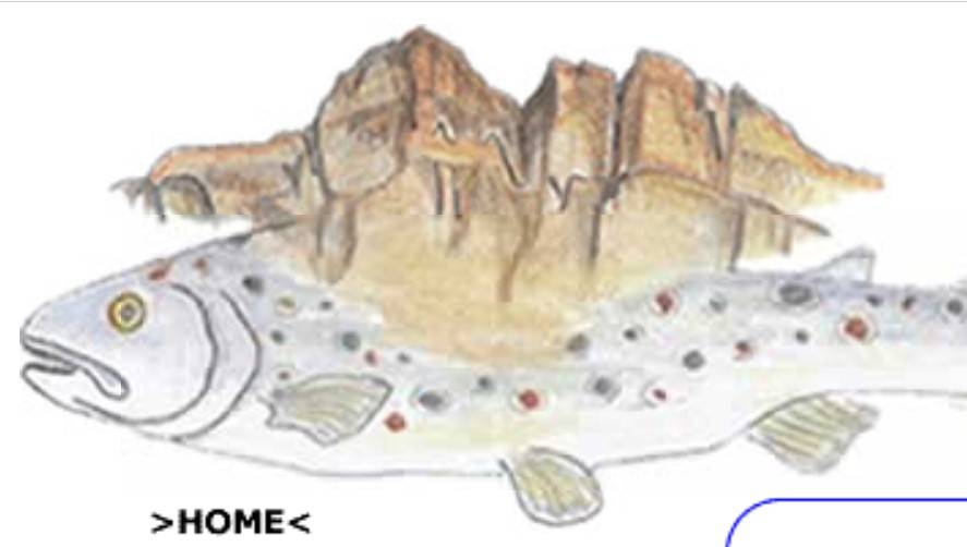 Uniun PËIAPËSC Badia (AP Badia)